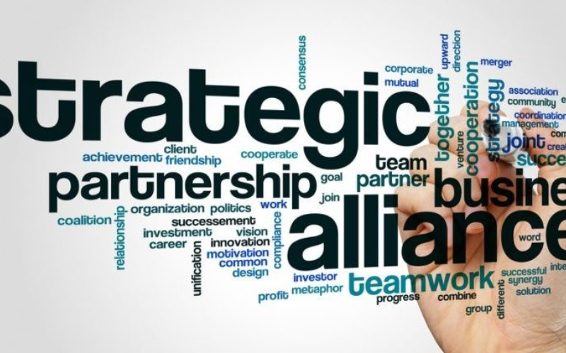 Successful Partnerships: Key Factors and Strategies